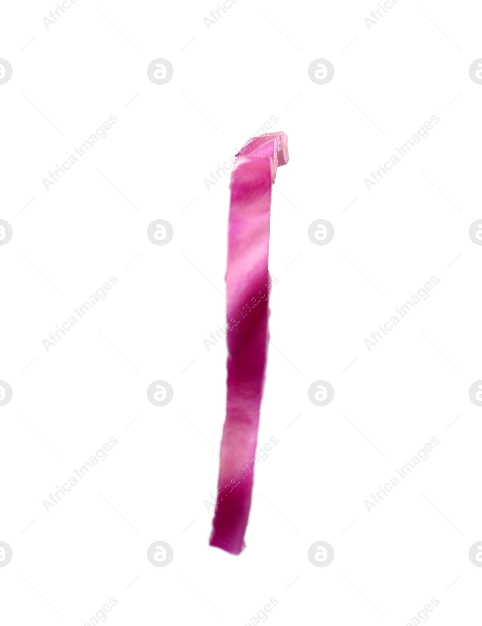 Photo of One slice of fresh red cabbage isolated on white