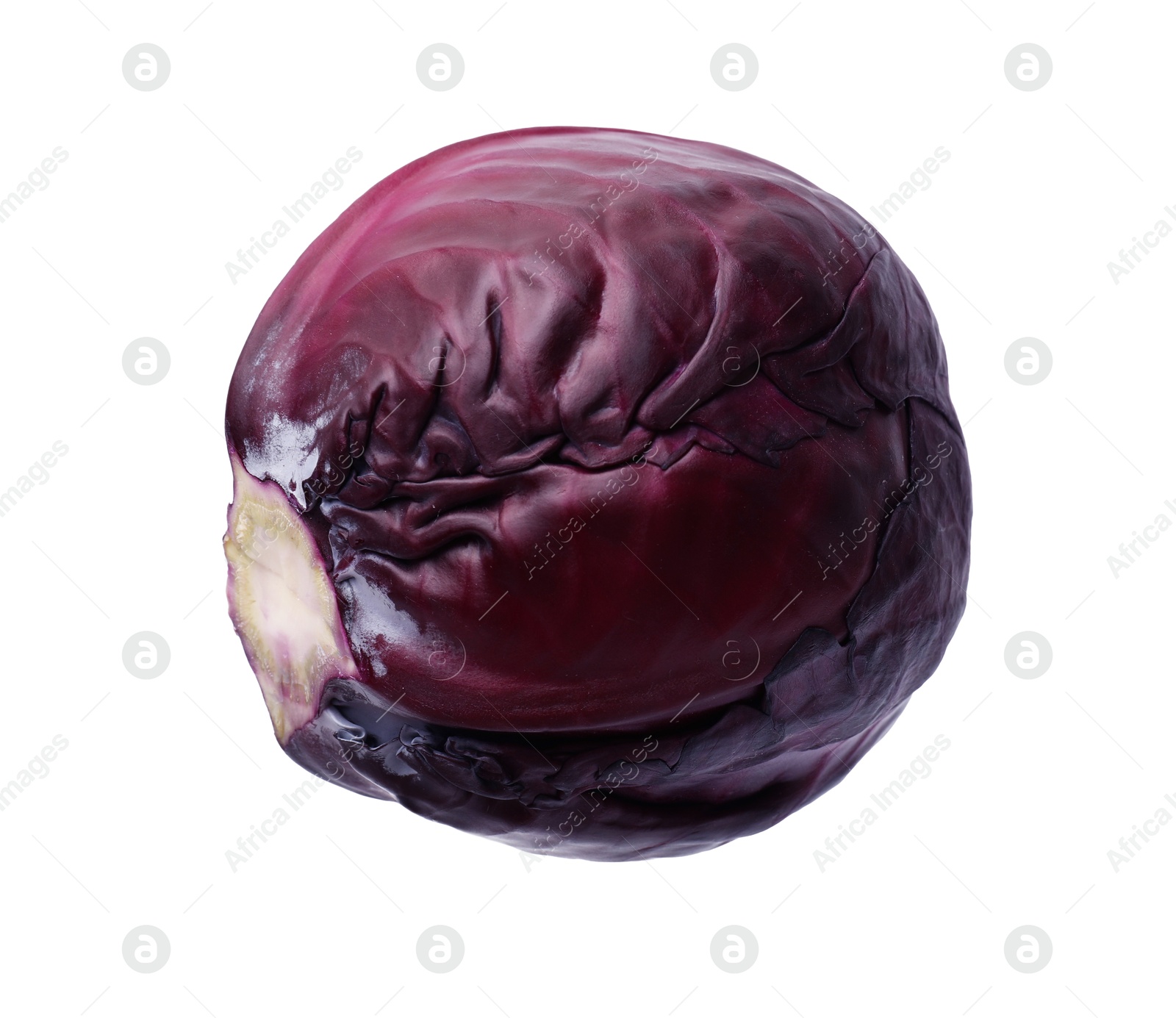 Photo of One head of fresh red cabbage isolated on white
