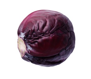 Photo of One head of fresh red cabbage isolated on white