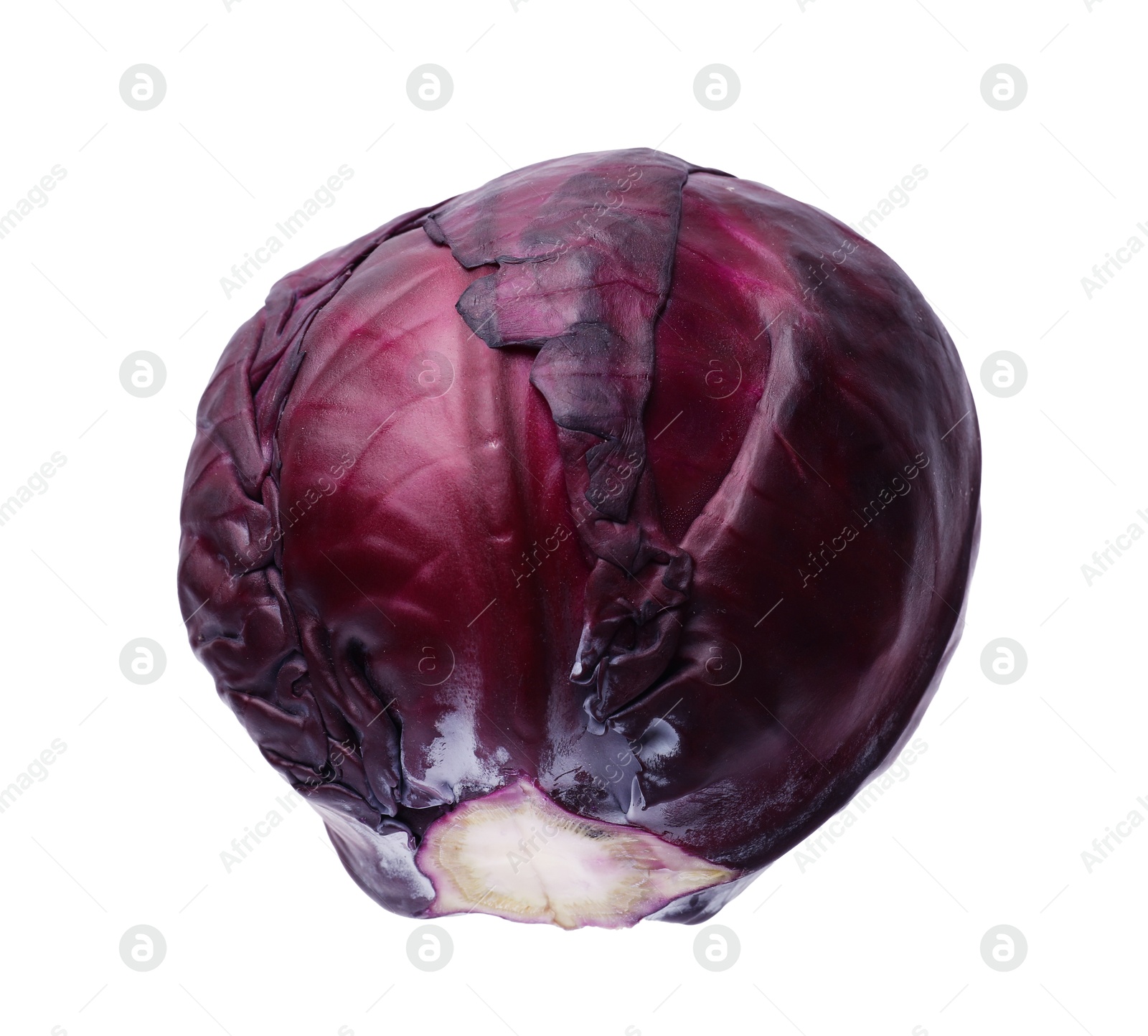 Photo of One head of fresh red cabbage isolated on white