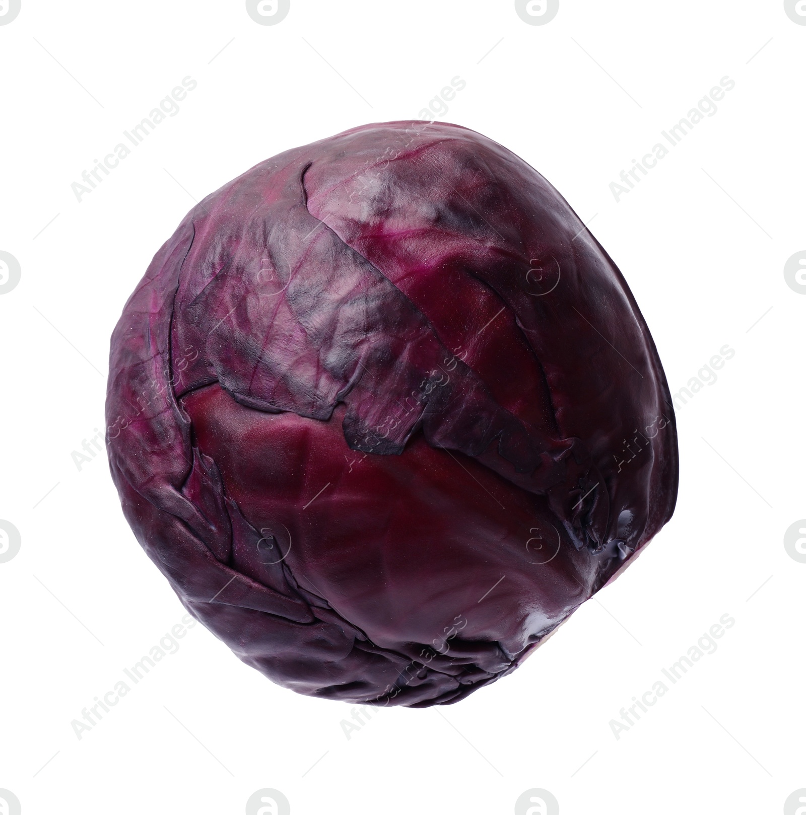 Photo of One head of fresh red cabbage isolated on white