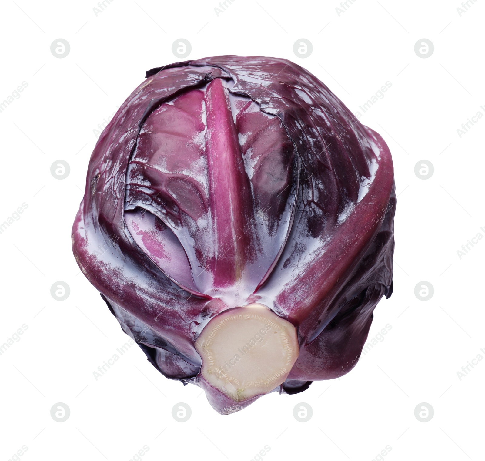 Photo of One head of fresh red cabbage isolated on white