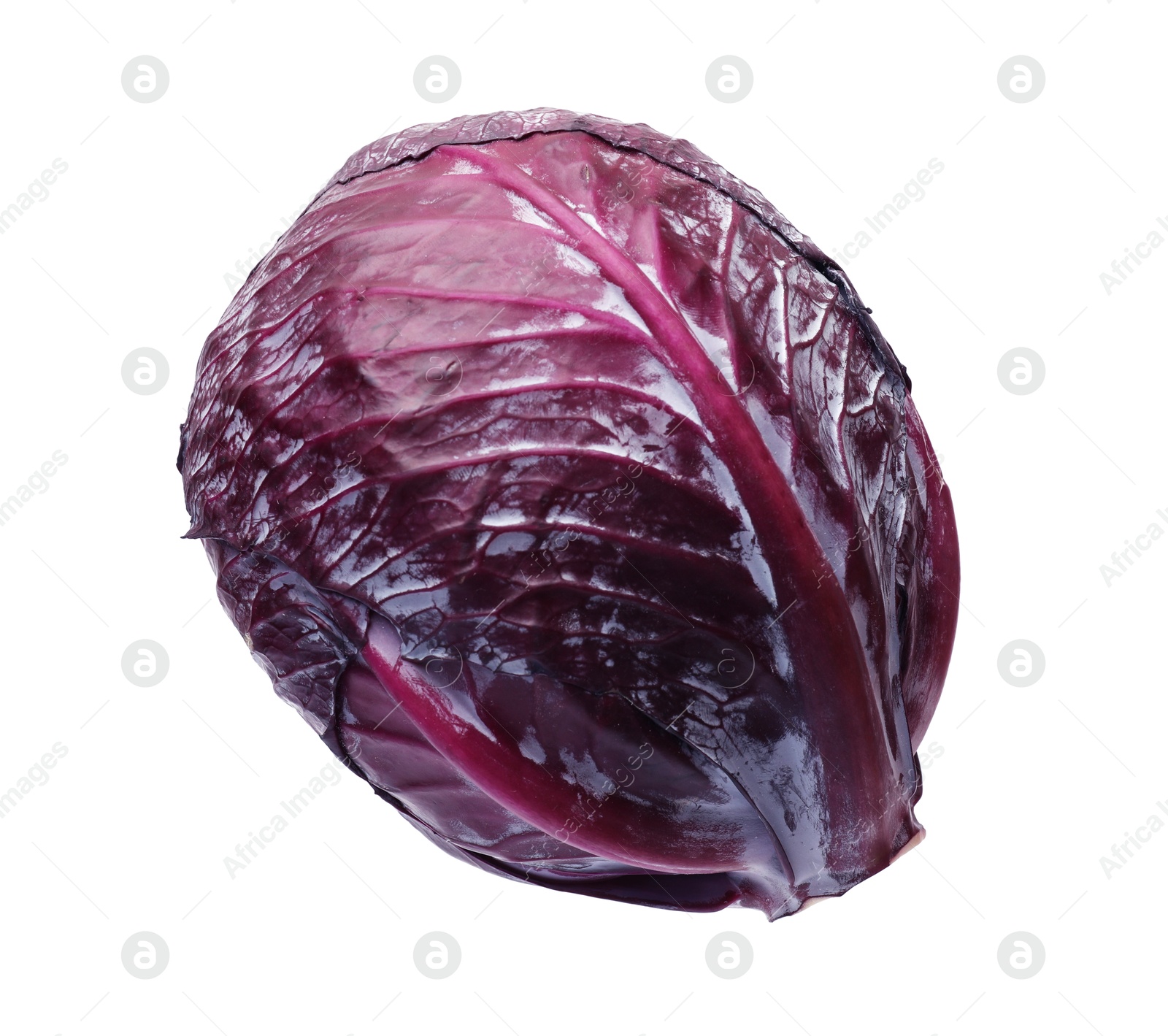 One head of fresh red cabbage isolated on white Photo of One head of fresh red cabbage isolated on white