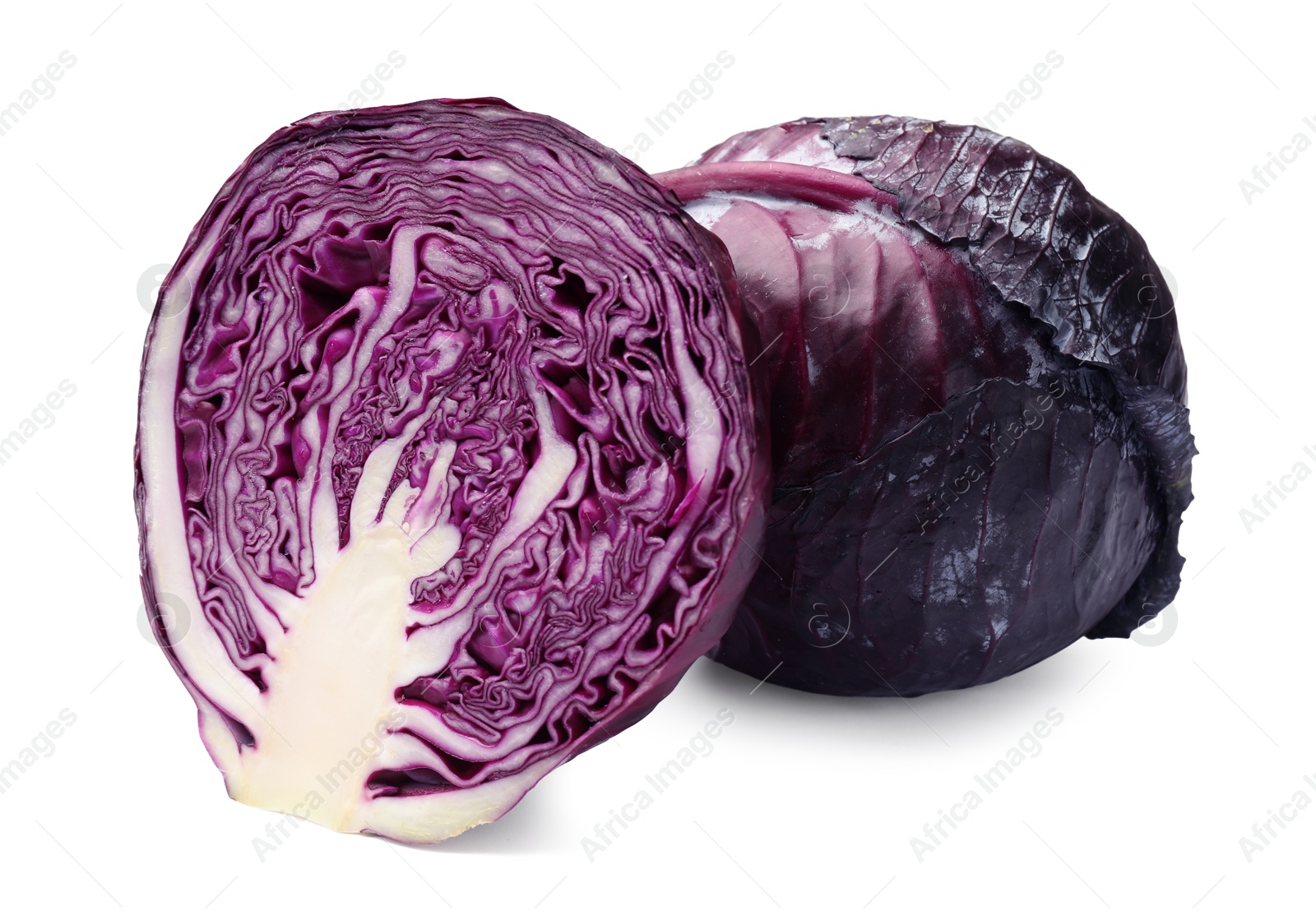 Whole and half of red cabbages isolated on white Photo of Whole and half of red cabbages isolated on white