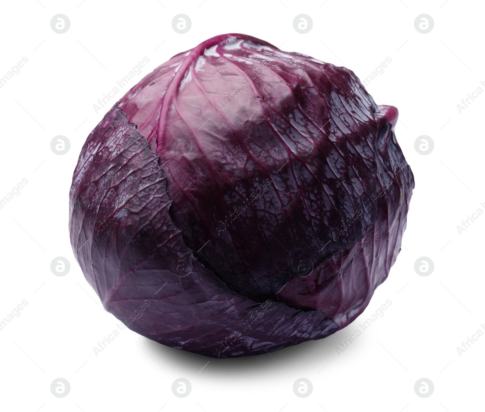 One head of fresh red cabbage isolated on white Photo of One head of fresh red cabbage isolated on white