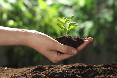 Photo of Woman holding soil with young plant outdoors, closeup