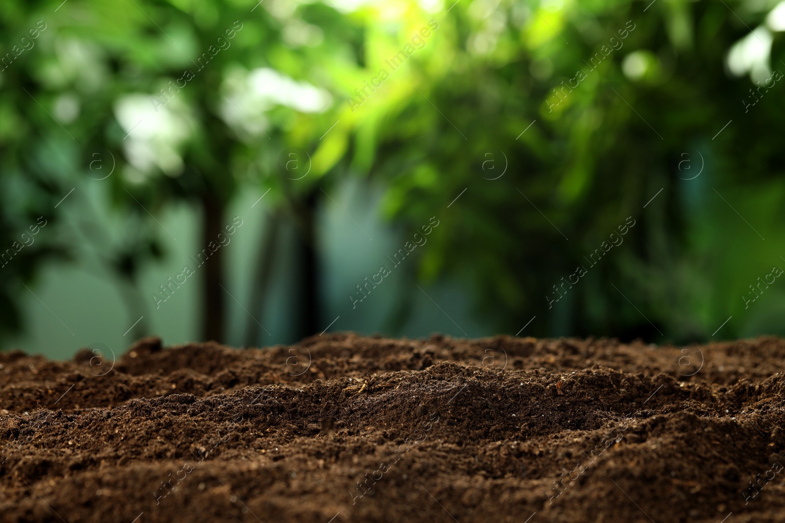 Photo of Fertile soil against blurred green background, closeup. Space for text