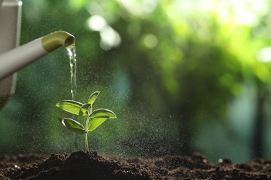 Photo of Watering young plant growing from soil outdoors, closeup. Space for text