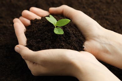 Photo of Woman holding soil with young plant, closeup