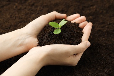 Photo of Woman holding soil with young plant, closeup