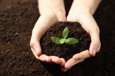 Photo of Woman holding soil with young plant, closeup
