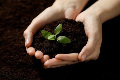 Photo of Woman holding soil with young plant, closeup