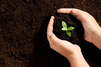 Photo of Woman holding soil with young plant, top view. Space for text