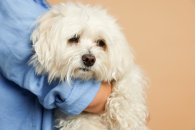 Photo of Teenage girl with Maltese dog on beige background, closeup