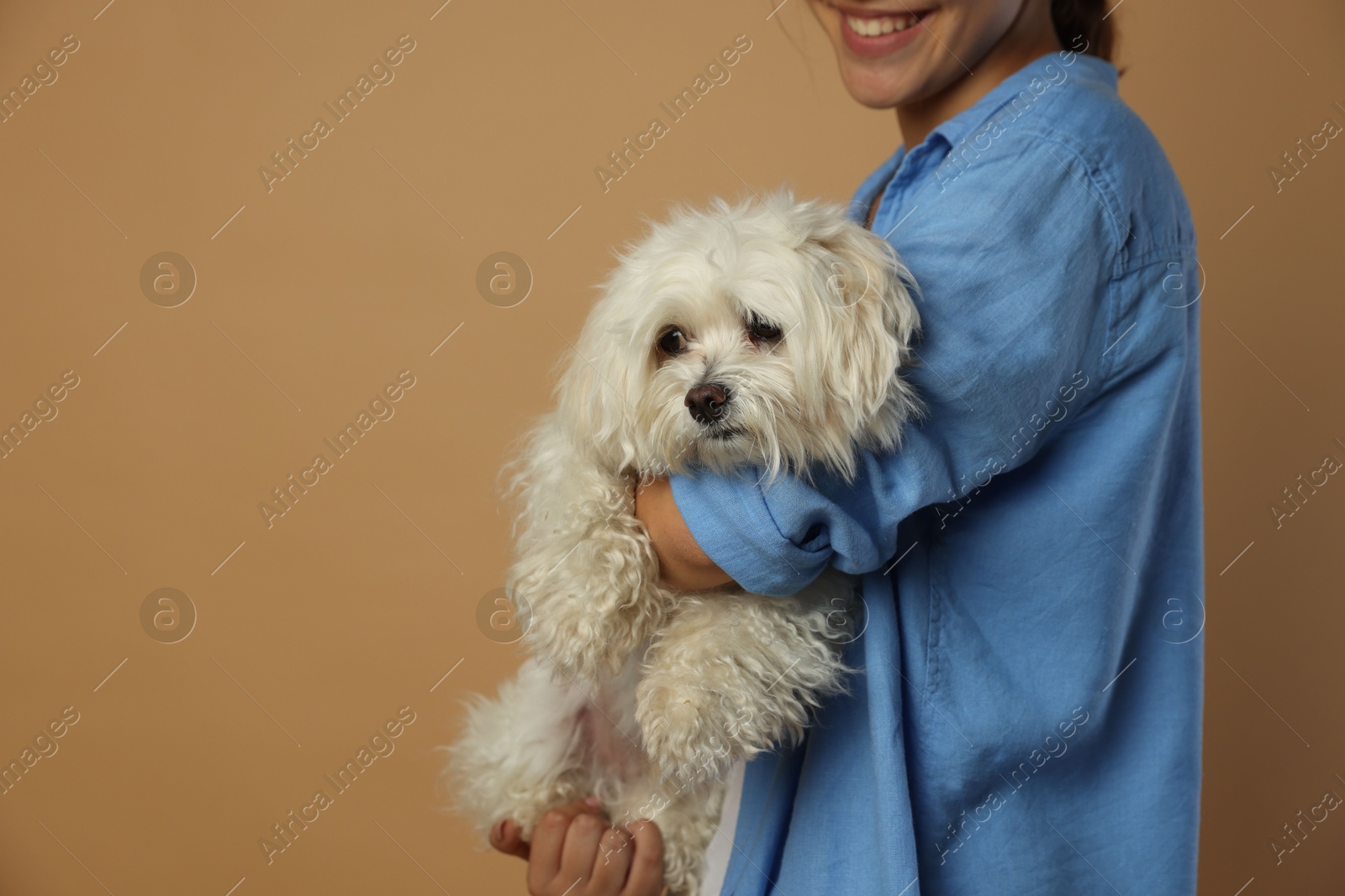 Happy teenage girl with Maltese dog on beige background, closeup. Space for text Photo of Happy teenage girl with Maltese dog on beige background, closeup. Space for text