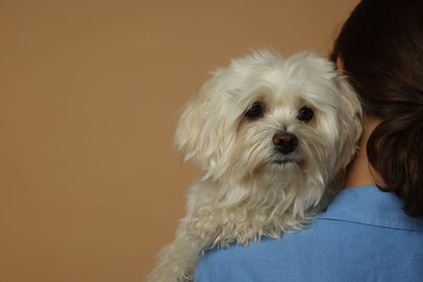 Photo of Teenage girl with Maltese dog on beige background, closeup. Space for text