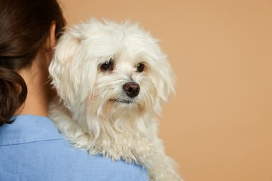 Photo of Teenage girl with Maltese dog on beige background, closeup. Space for text