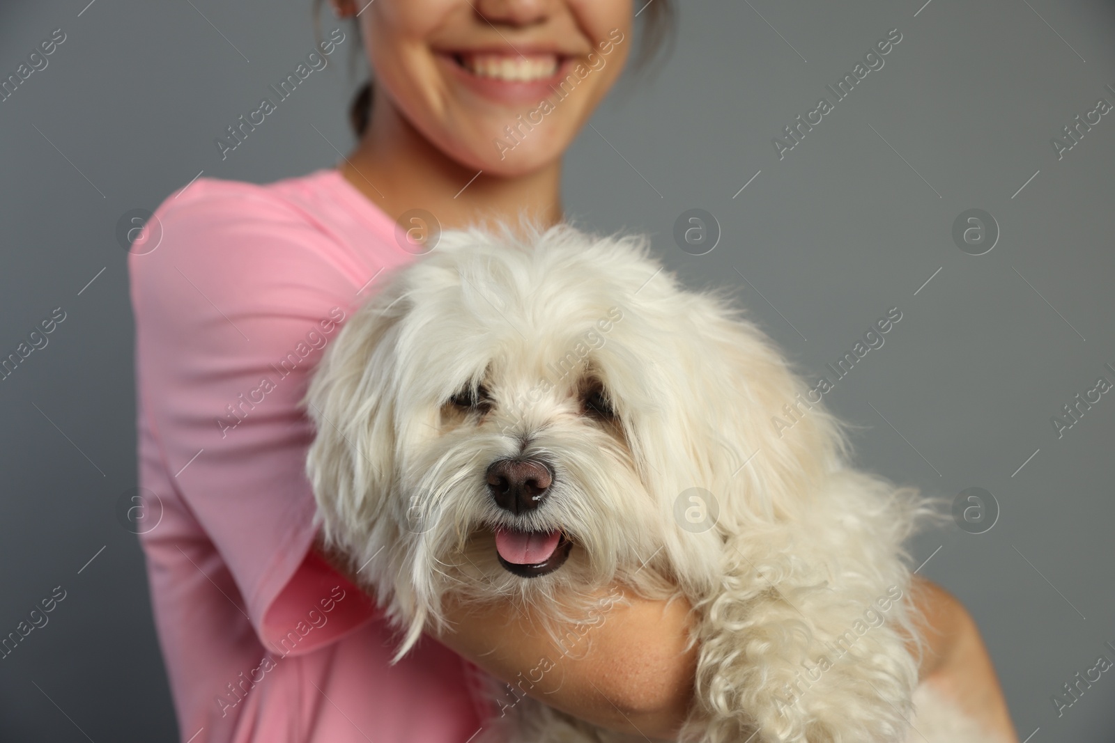Happy teenage girl with Maltese dog on grey background, closeup Photo of Happy teenage girl with Maltese dog on grey background, closeup