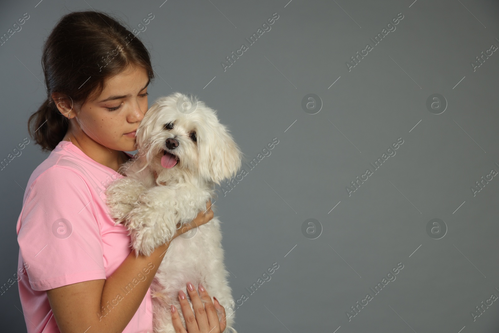 Happy teenage girl with Maltese dog on grey background, space for text Photo of Happy teenage girl with Maltese dog on grey background, space for text