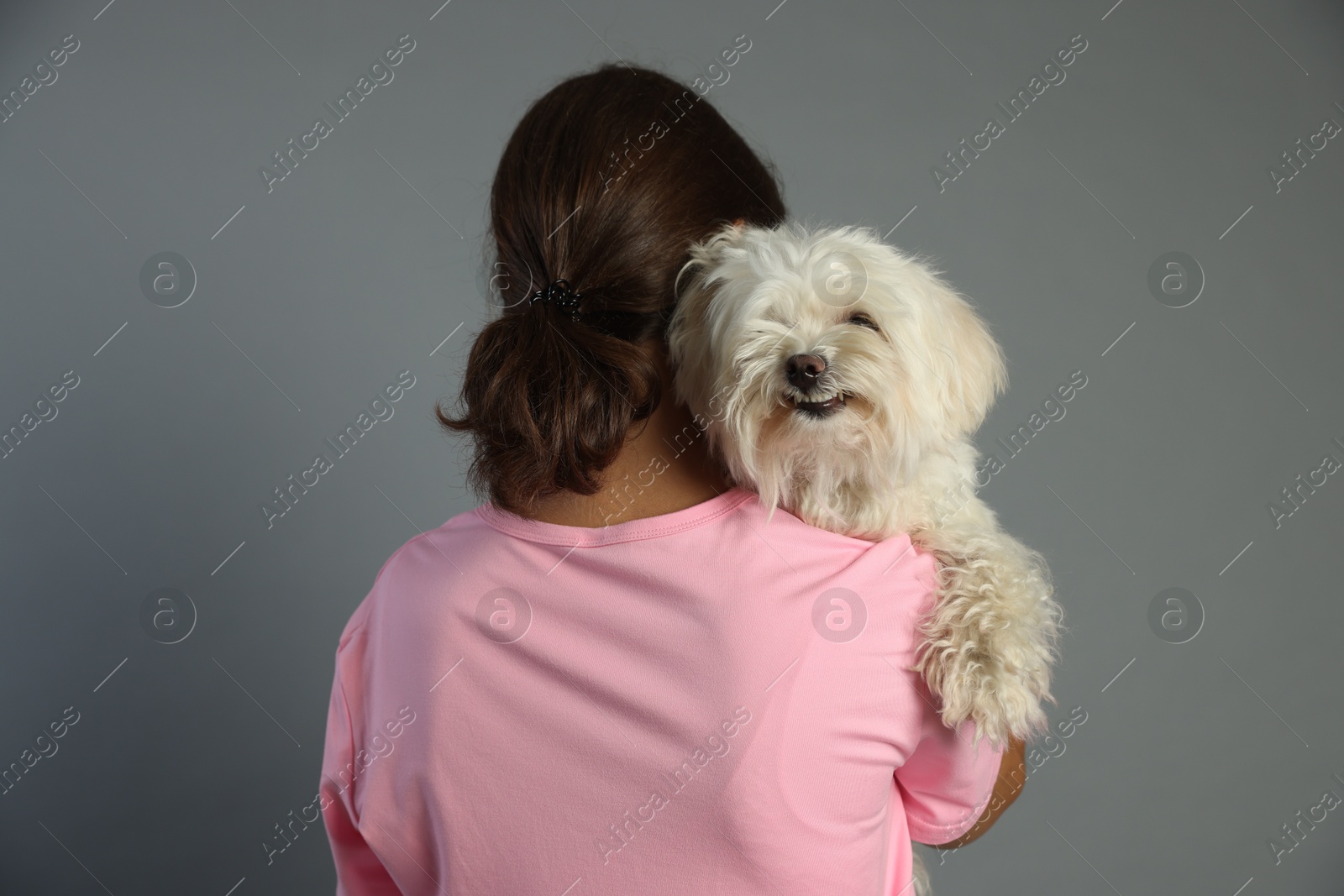 Happy teenage girl with Maltese dog on grey background, back view Photo of Happy teenage girl with Maltese dog on grey background, back view