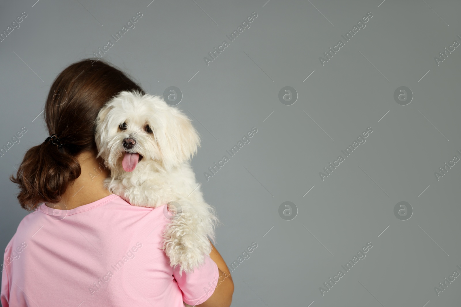 Happy teenage girl with Maltese dog on grey background, back view. Space for text Photo of Happy teenage girl with Maltese dog on grey background, back view. Space for text