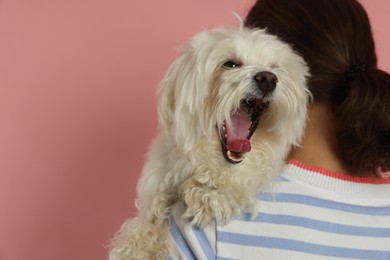 Photo of Happy teenage girl with Maltese dog on pink background, back view. Space for text
