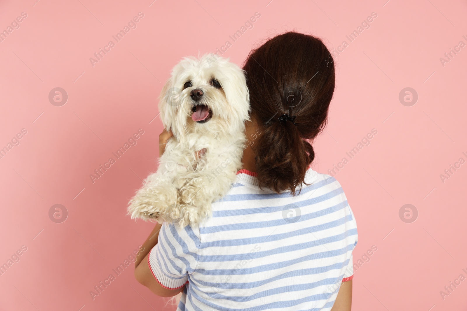 Happy teenage girl with Maltese dog on pink background, back view Photo of Happy teenage girl with Maltese dog on pink background, back view