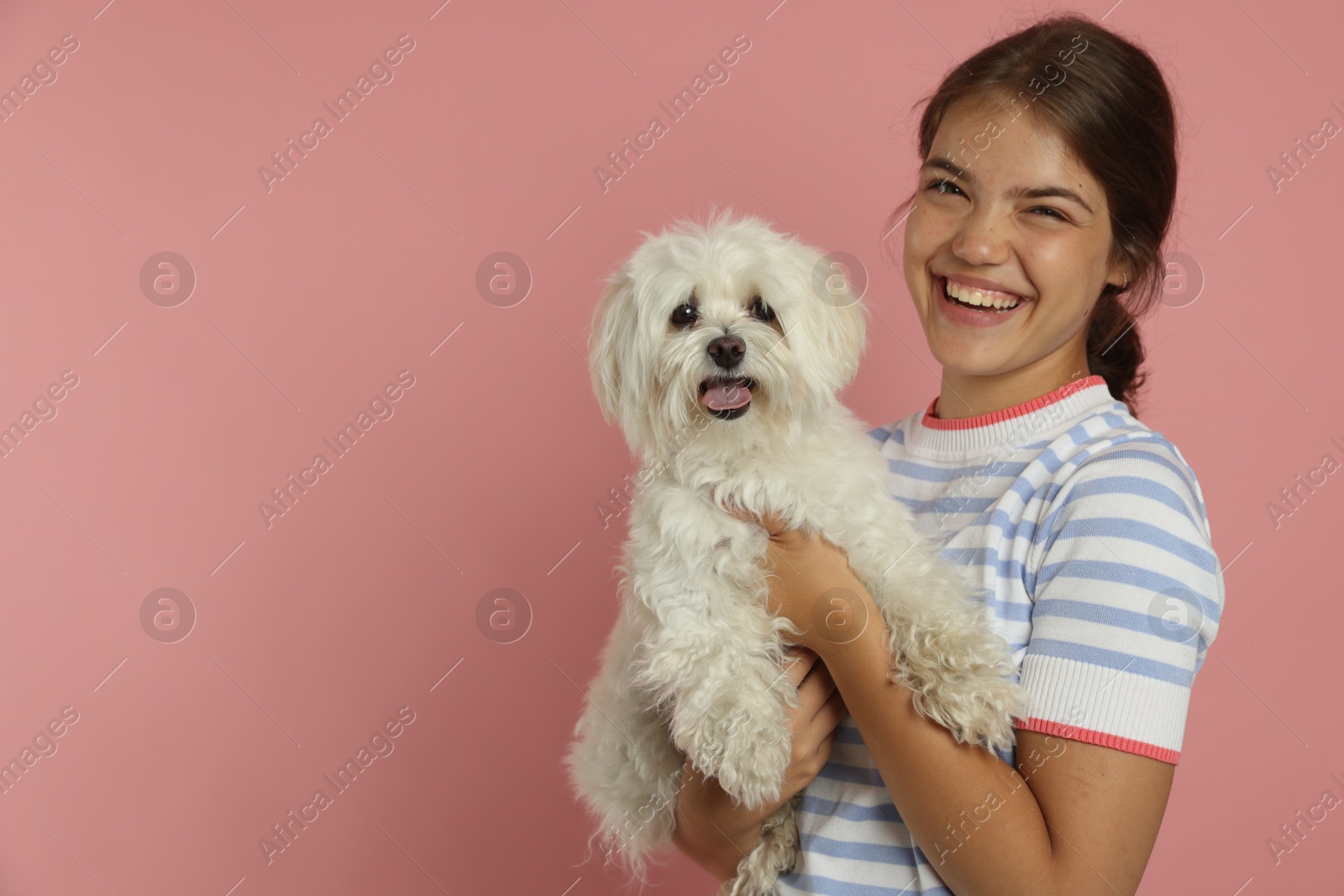 Happy teenage girl with Maltese dog on pink background, space for text Photo of Happy teenage girl with Maltese dog on pink background, space for text