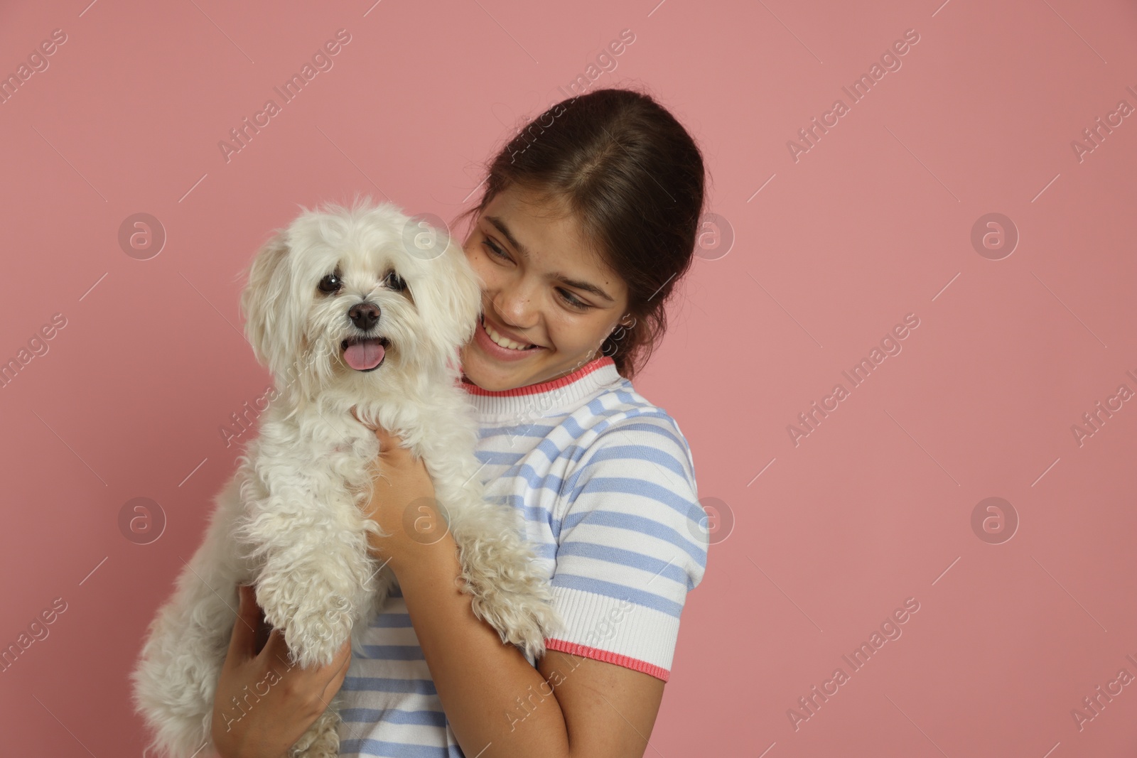 Happy teenage girl with Maltese dog on pink background, space for text Photo of Happy teenage girl with Maltese dog on pink background, space for text