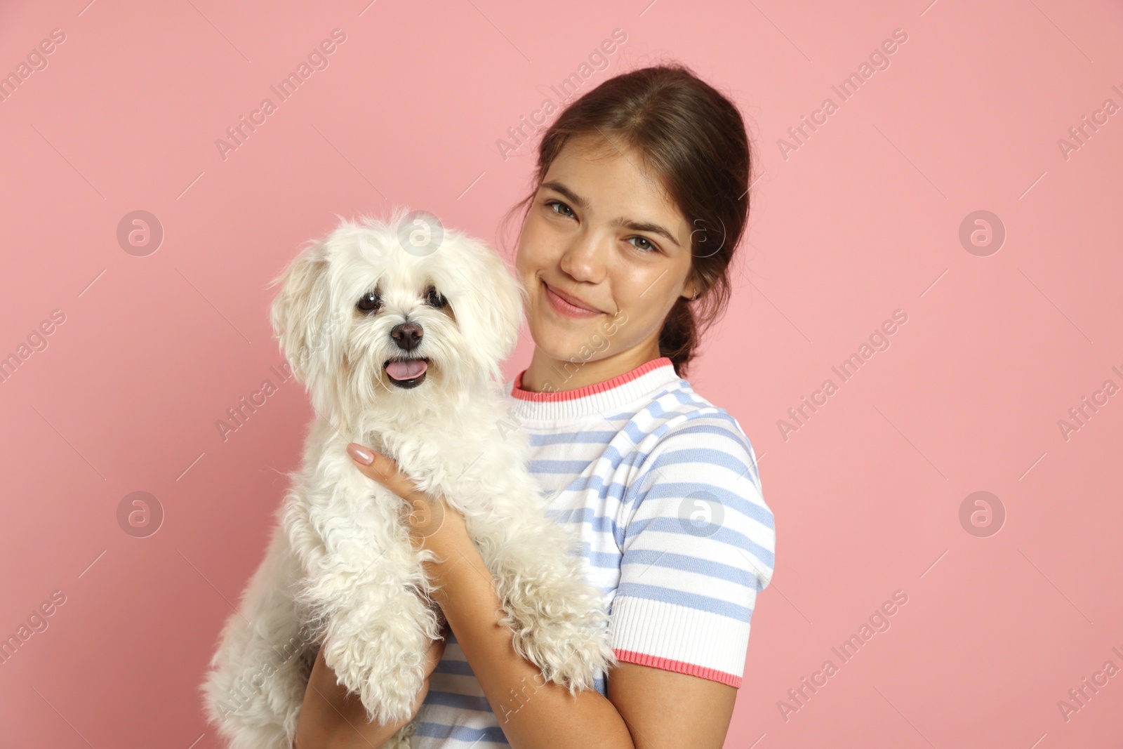 Happy teenage girl with Maltese dog on pink background Photo of Happy teenage girl with Maltese dog on pink background