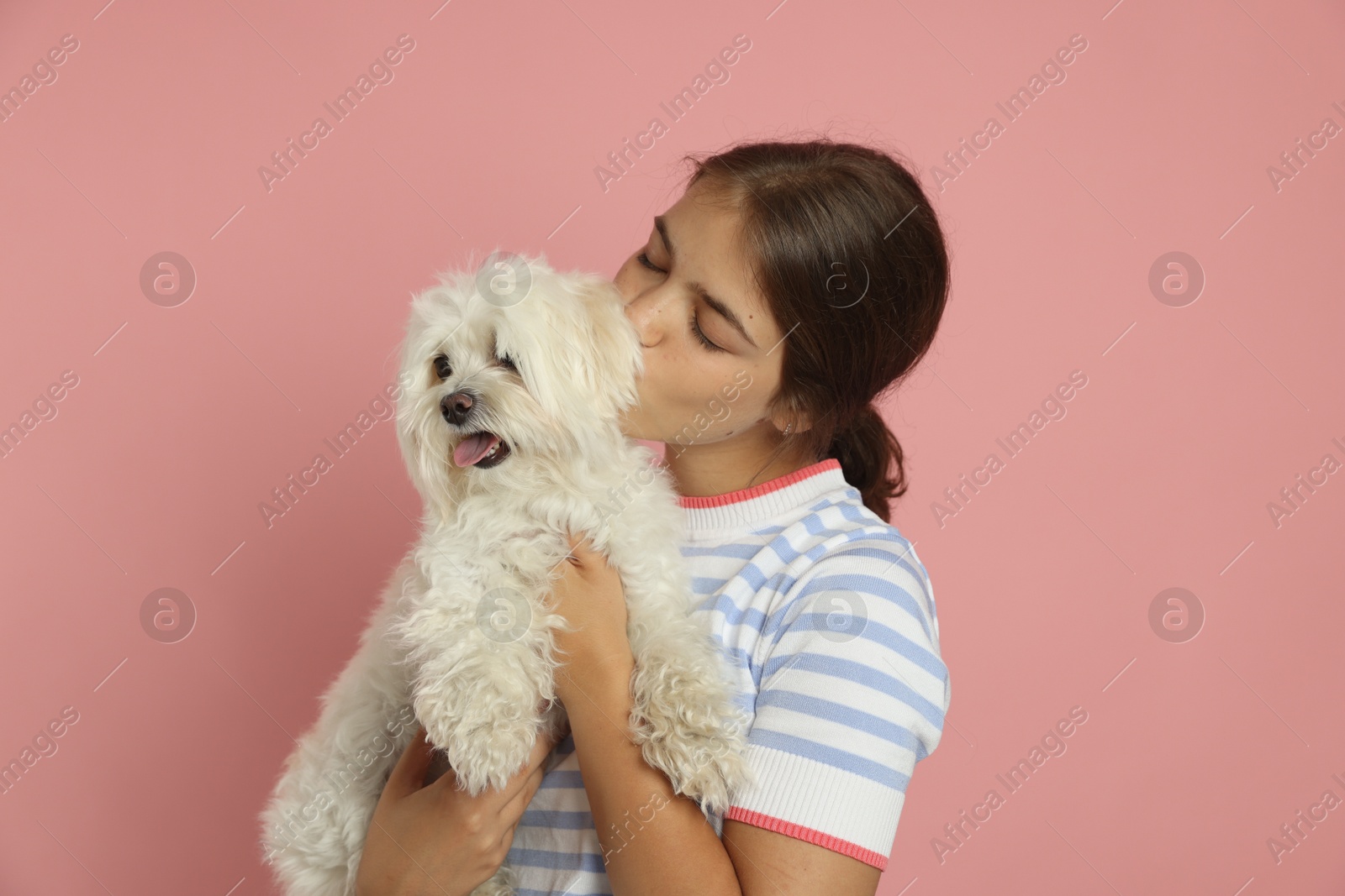 Happy teenage girl with Maltese dog on pink background Photo of Happy teenage girl with Maltese dog on pink background