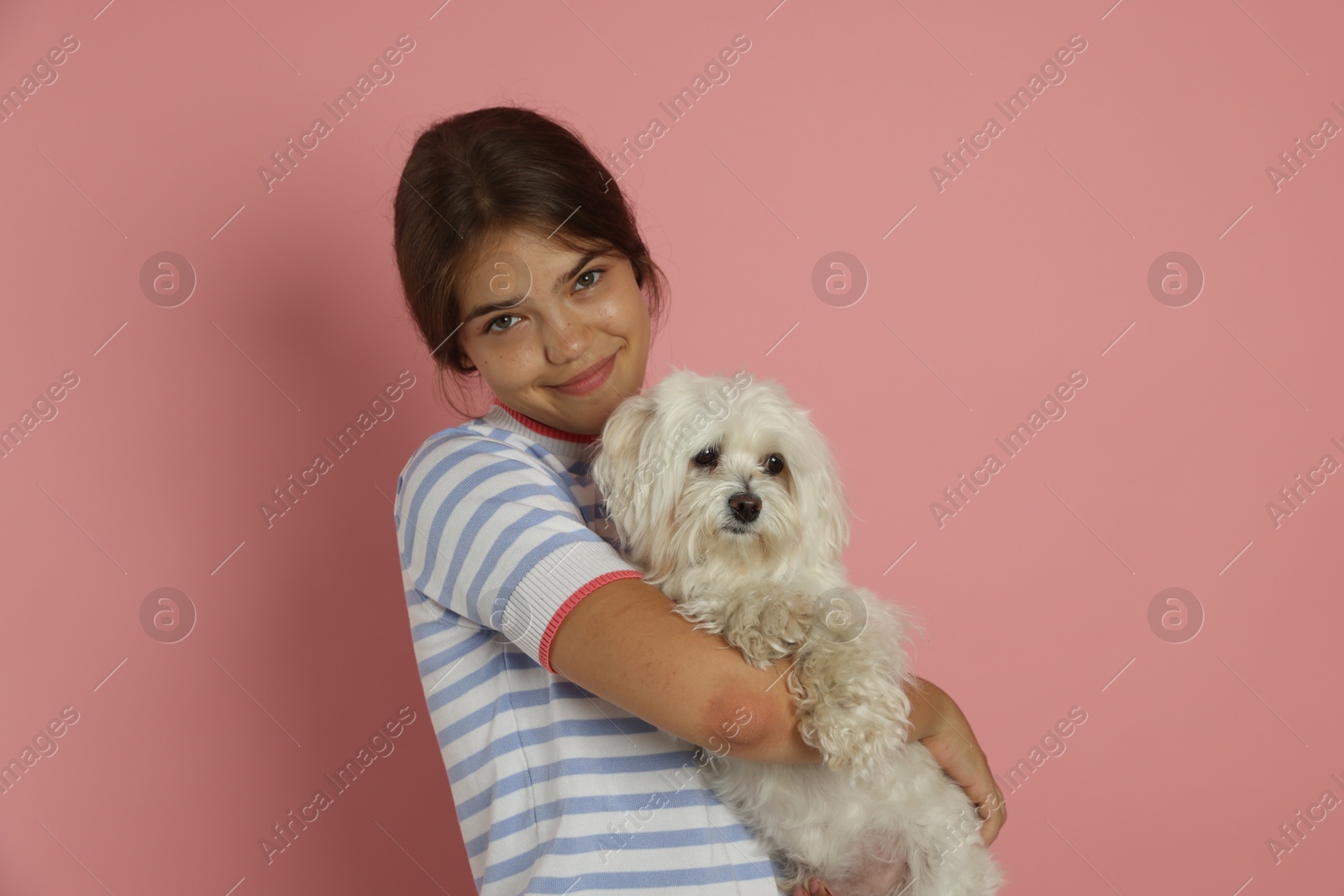 Happy teenage girl with Maltese dog on pink background Photo of Happy teenage girl with Maltese dog on pink background