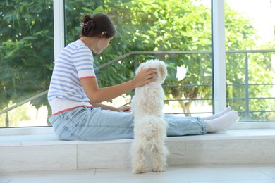 Photo of Teenage girl with cute Maltese dog at home