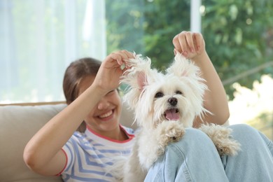 Photo of Happy teenage girl with cute Maltese dog on sofa at home