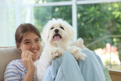 Photo of Happy teenage girl with cute Maltese dog on sofa at home