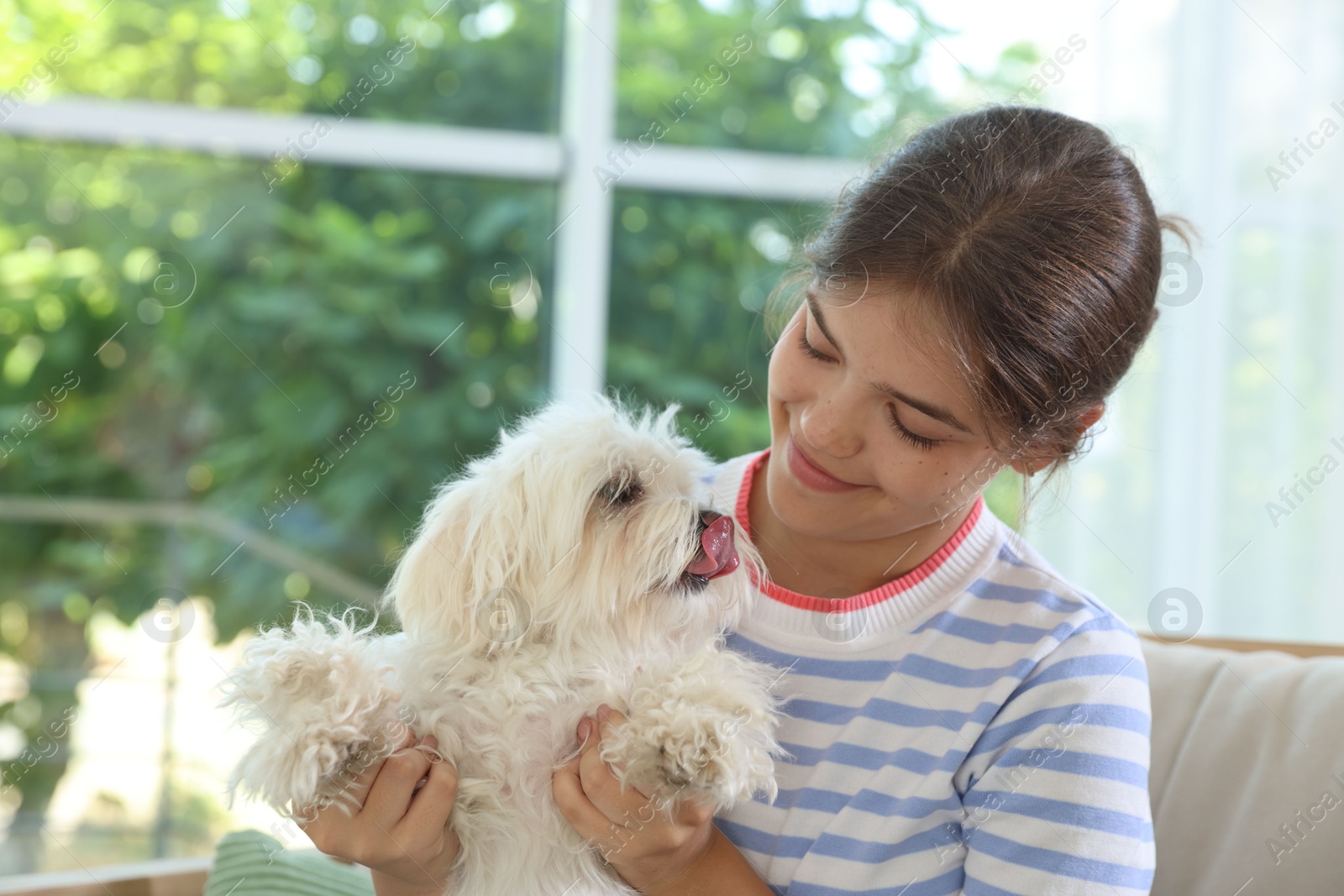 Happy teenage girl with cute Maltese dog at home Photo of Happy teenage girl with cute Maltese dog at home