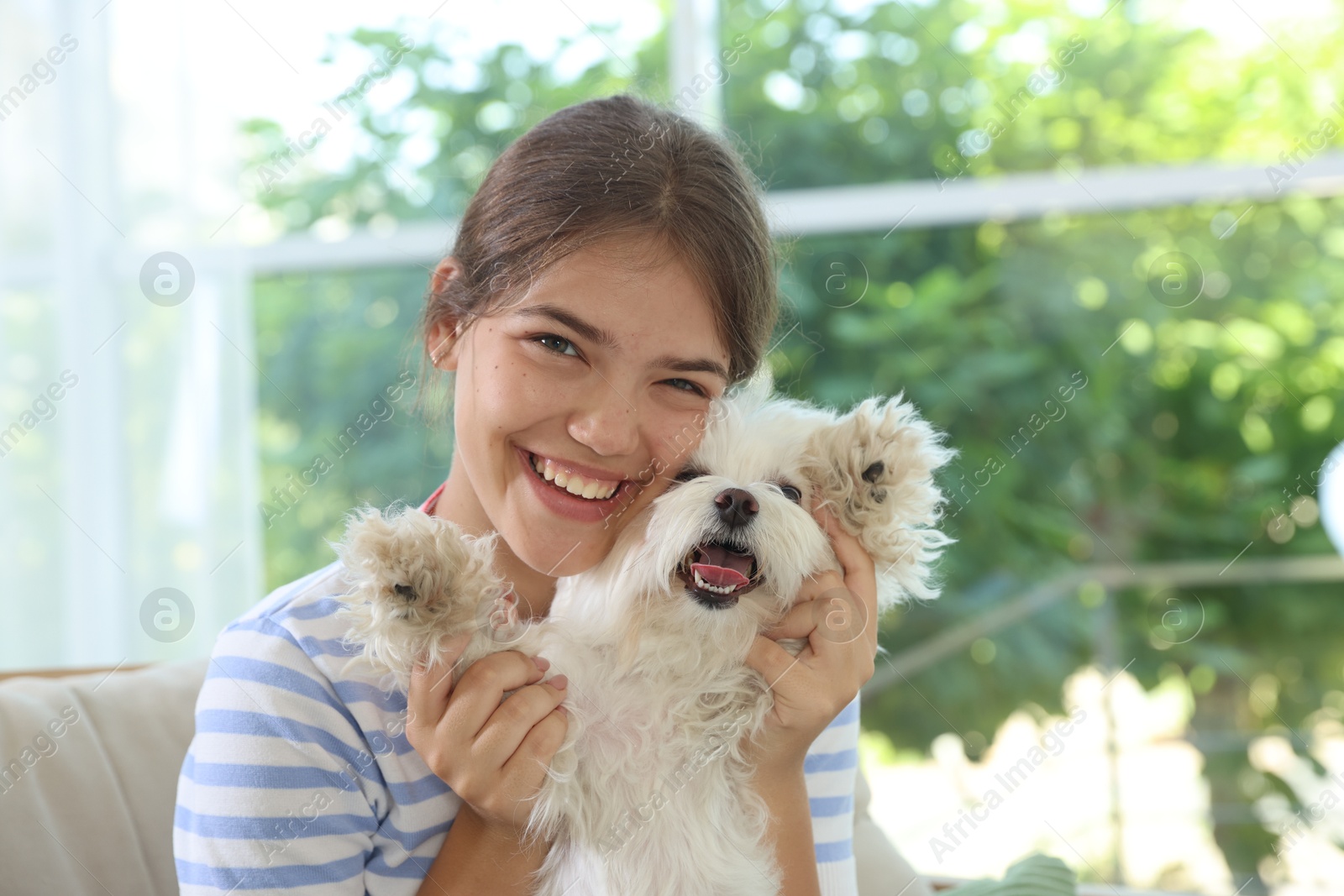Happy teenage girl with cute Maltese dog at home Photo of Happy teenage girl with cute Maltese dog at home