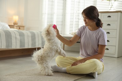 Photo of Happy teenage girl playing with cute Maltese dog at home