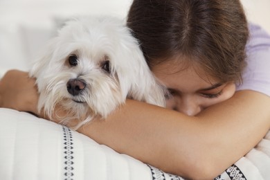 Photo of Happy teenage girl with cute Maltese dog on bed at home, closeup