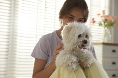 Photo of Happy teenage girl with cute Maltese dog at home