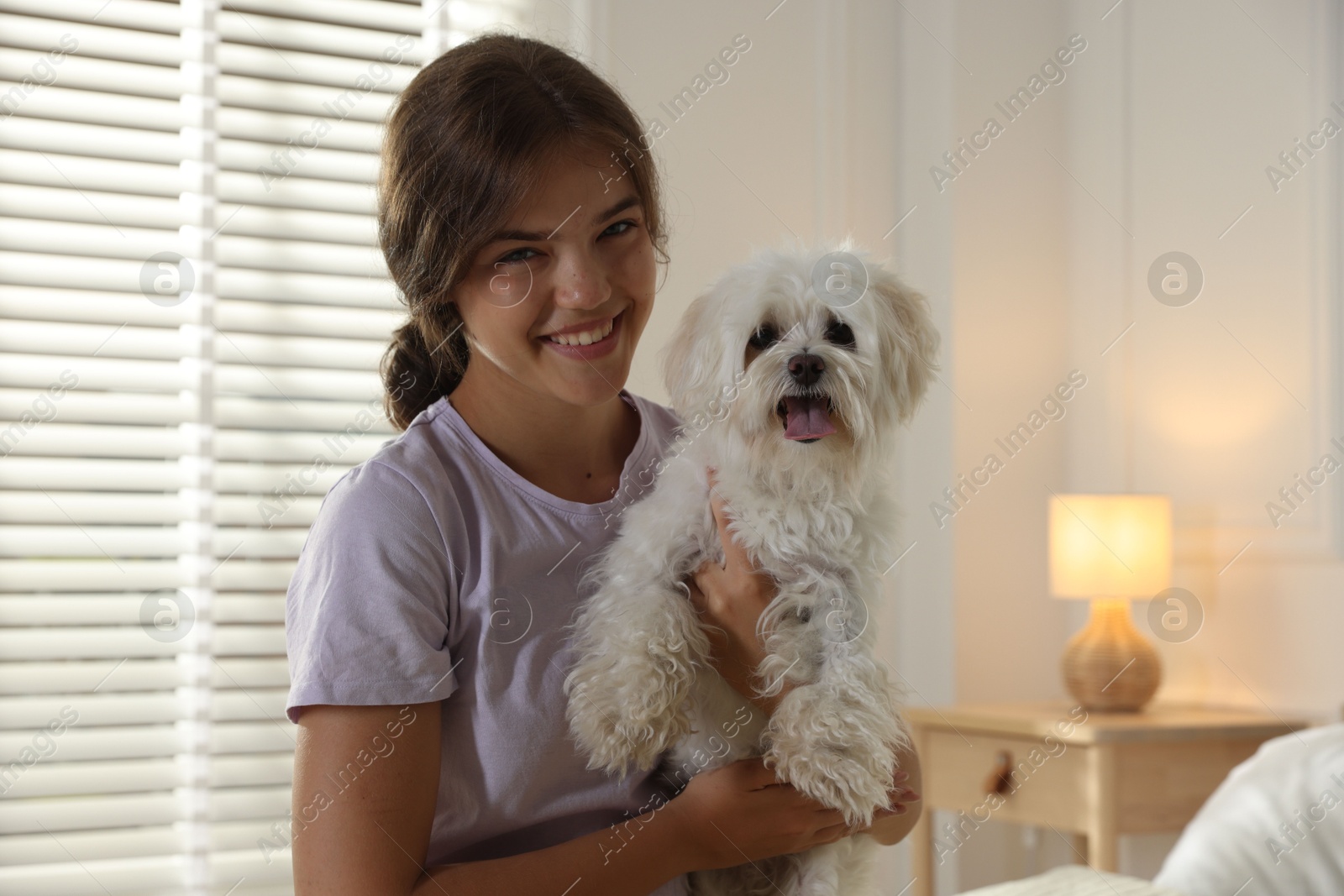 Happy teenage girl with cute Maltese dog at home Photo of Happy teenage girl with cute Maltese dog at home