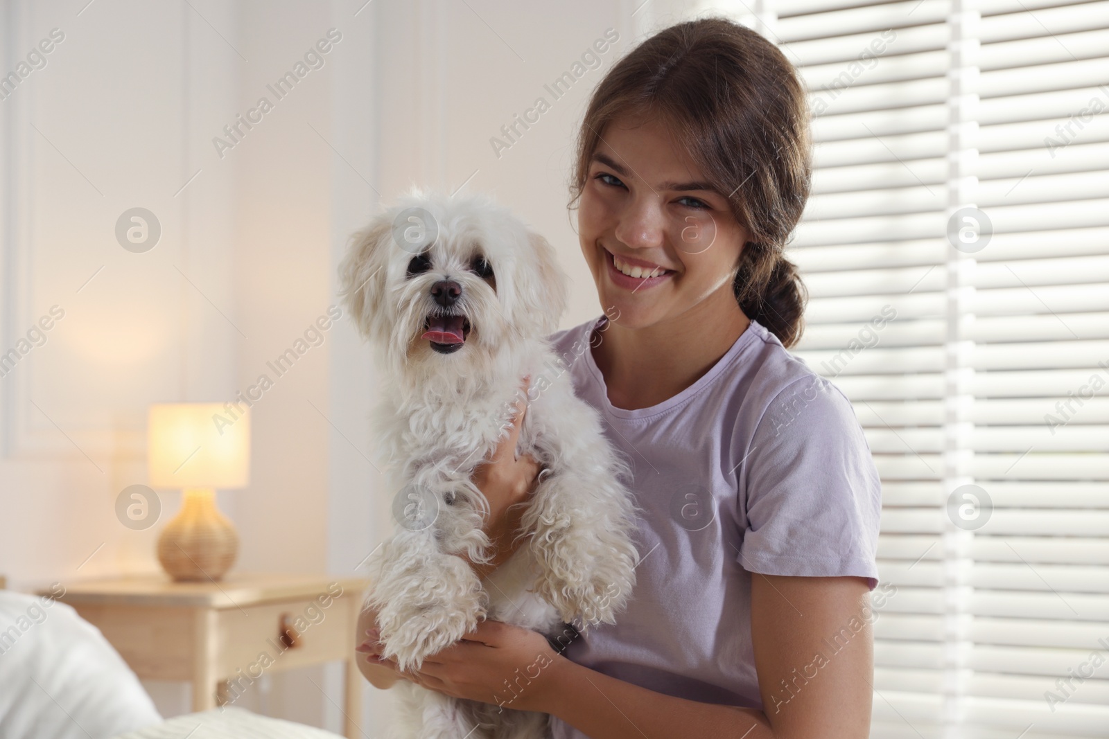 Happy teenage girl with cute Maltese dog at home Photo of Happy teenage girl with cute Maltese dog at home