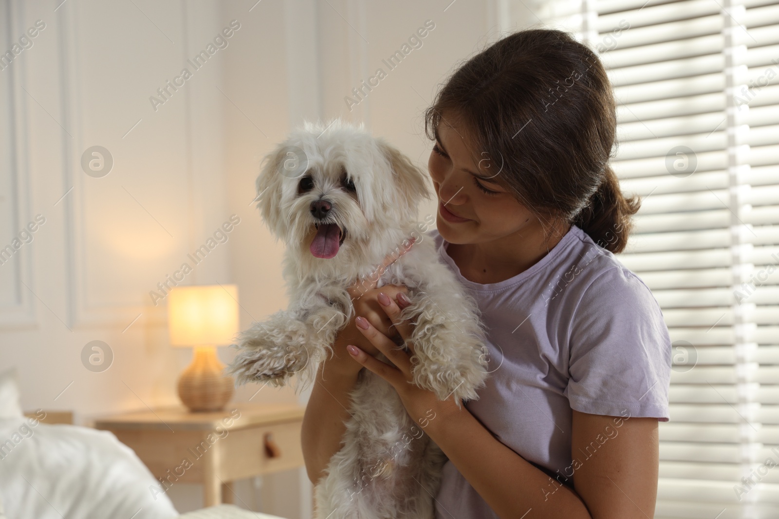 Happy teenage girl with cute Maltese dog at home Photo of Happy teenage girl with cute Maltese dog at home