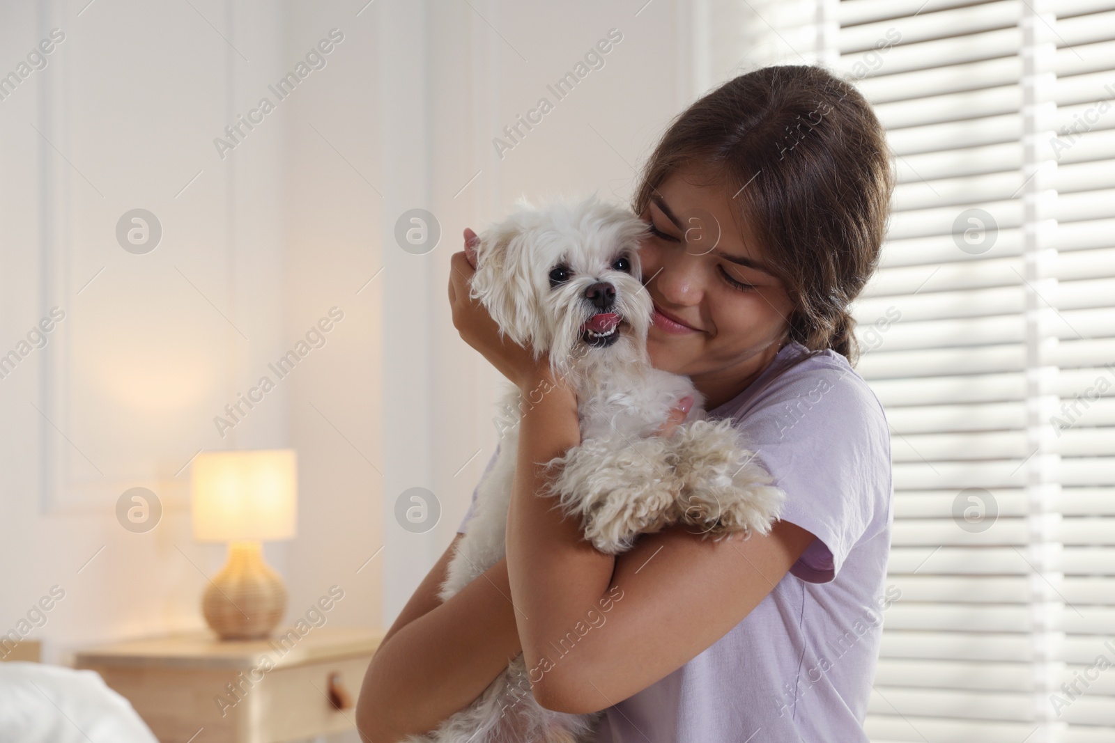 Happy teenage girl with cute Maltese dog at home Photo of Happy teenage girl with cute Maltese dog at home