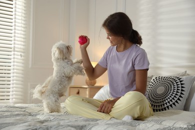 Photo of Happy teenage girl playing with cute Maltese dog on bed at home