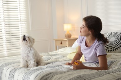 Photo of Happy teenage girl with cute Maltese dog on bed at home