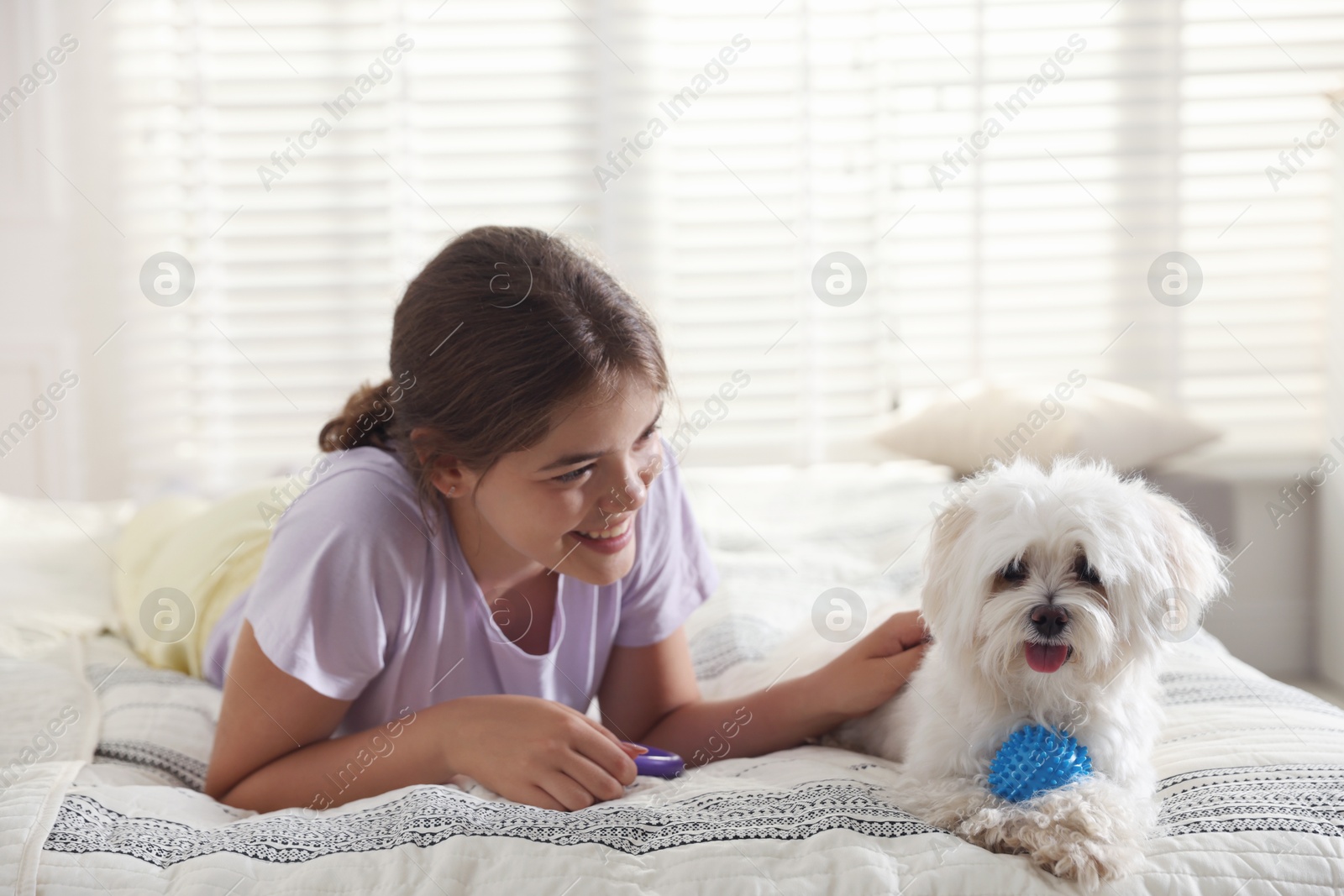 Happy teenage girl with cute Maltese dog on bed at home Photo of Happy teenage girl with cute Maltese dog on bed at home