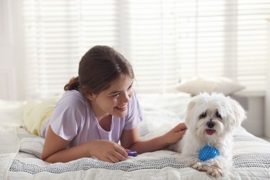 Photo of Happy teenage girl with cute Maltese dog on bed at home