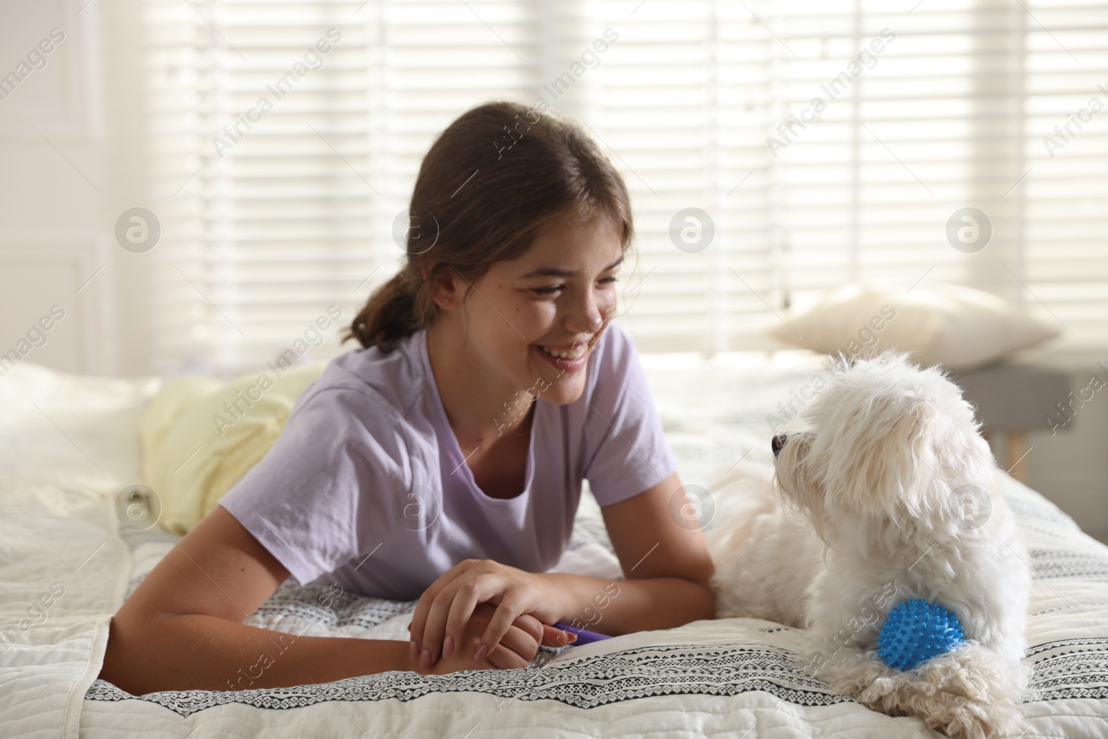 Happy teenage girl with cute Maltese dog on bed at home Photo of Happy teenage girl with cute Maltese dog on bed at home