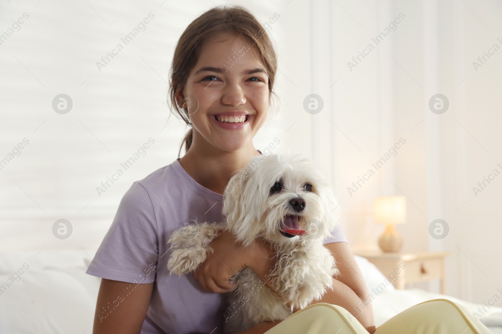 Happy teenage girl with cute Maltese dog on bed at home Photo of Happy teenage girl with cute Maltese dog on bed at home
